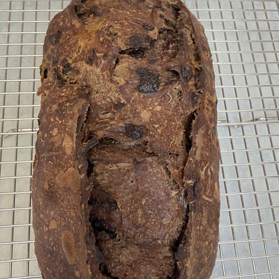 Double Chocolate Sourdough 