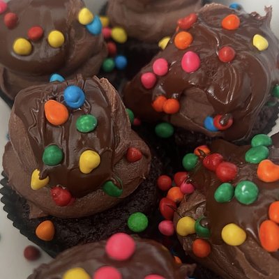 Cupcake- Wholesale (12)
