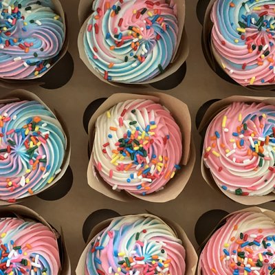 Dozen Cupcakes