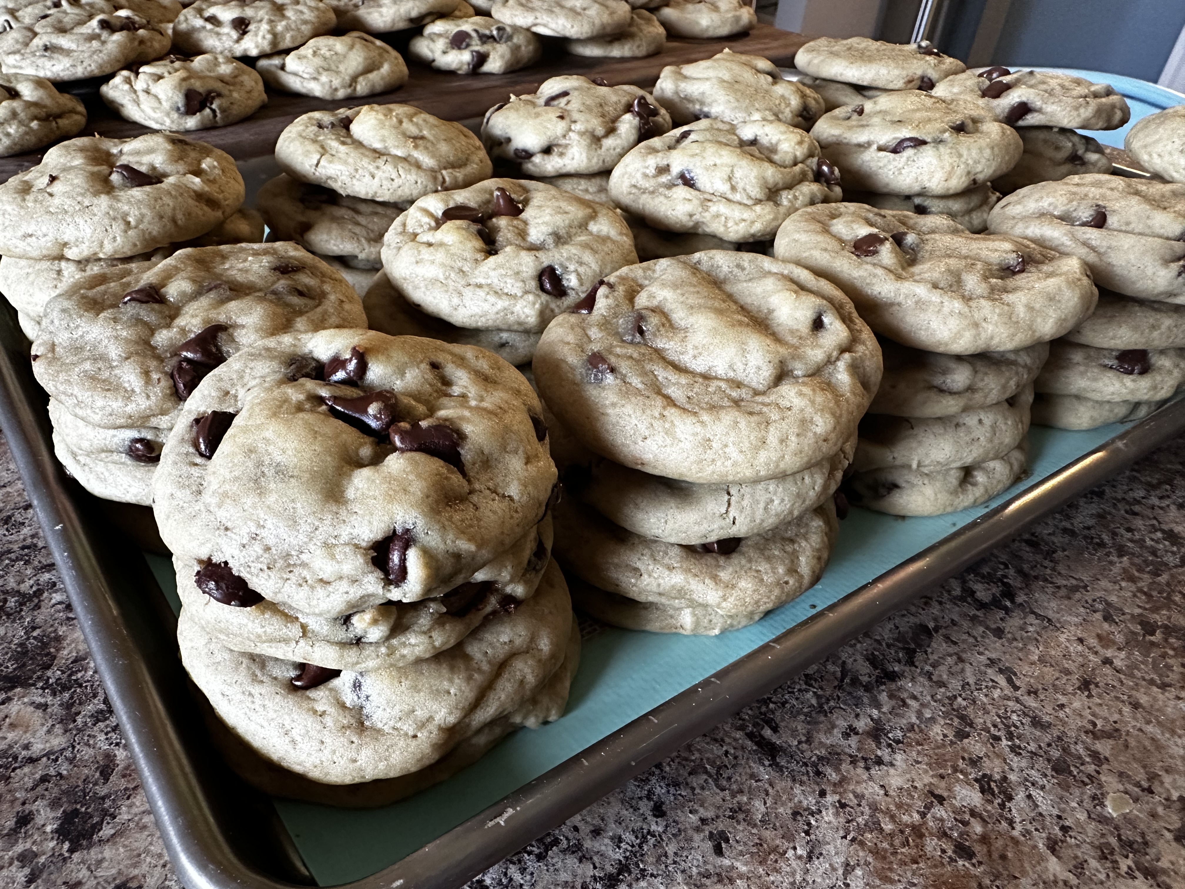 Dozen Large Sourdough Brown Butter Chocolate Chip Cookies