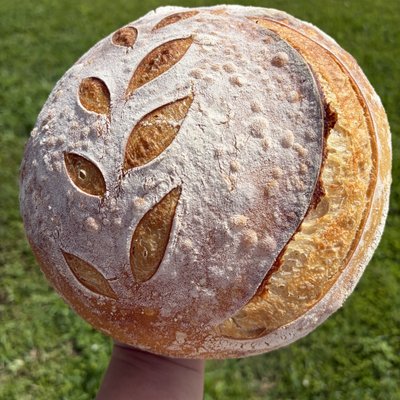 Organic Original Sourdough