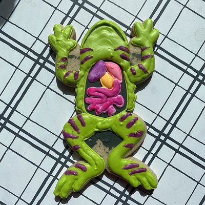 Dead Frog