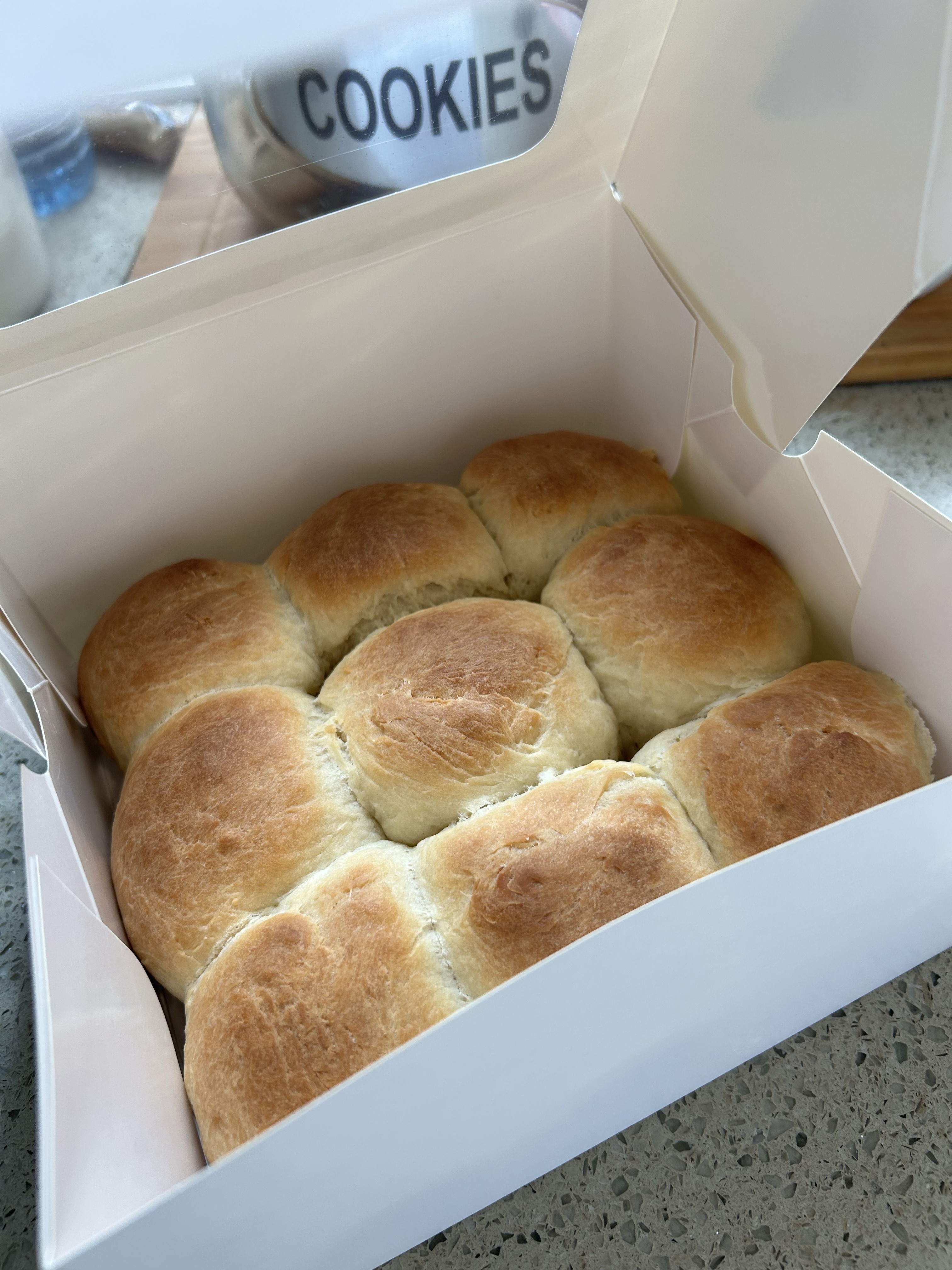 Dinner Rolls