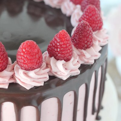 Chocolate Raspberry Cake 16 Servings 