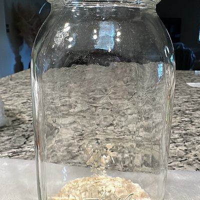 Dehydrated Sourdough Starter