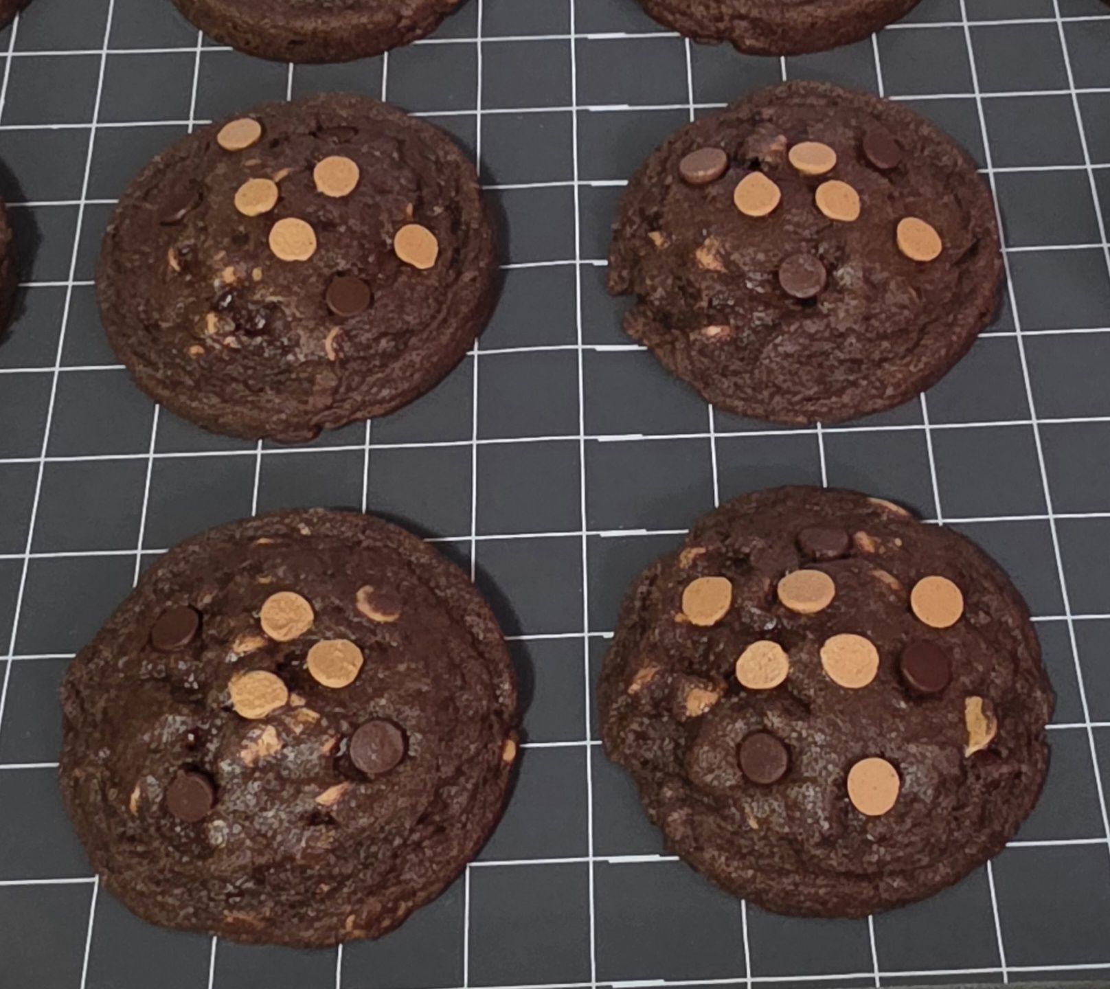 Double Chocolate Chip and PB Cookies (12)