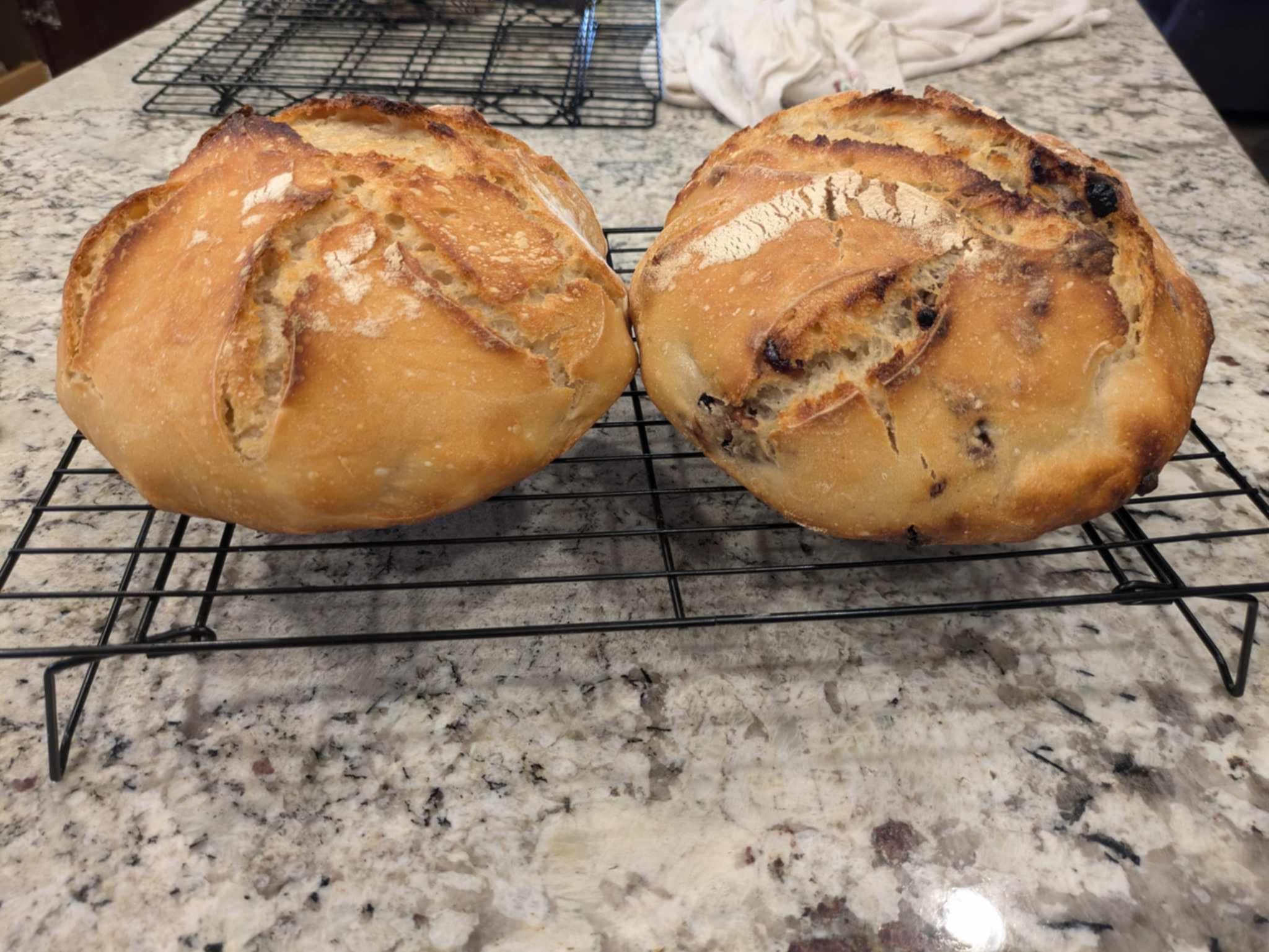 Regular Sourdough