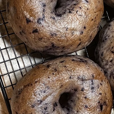 Blueberry Bagel (6 Pack)