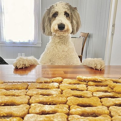Sourdough Peanut Butter Dog Biscuits (12ct)