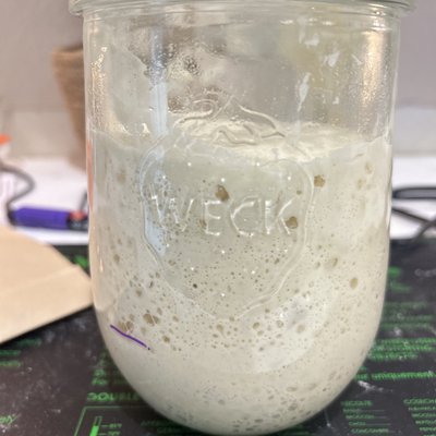 🪩200+ YR OLD SOURDOUGH STARTER 🫙EXTREMELY ACTIVE STRONG💥