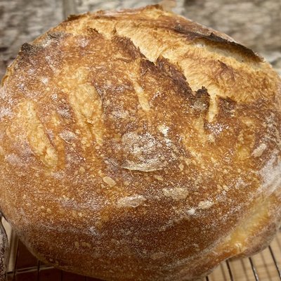Sourdough Round 
