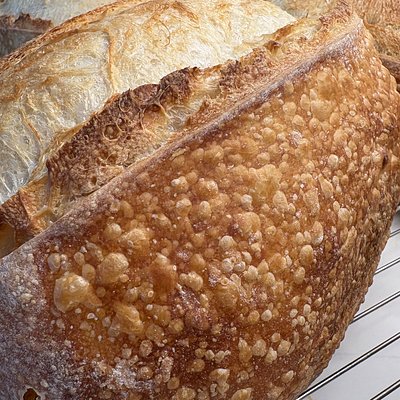 Plain Sourdough Loaf