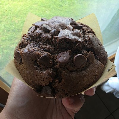 Double Chocolate Chip Muffin (Single)
