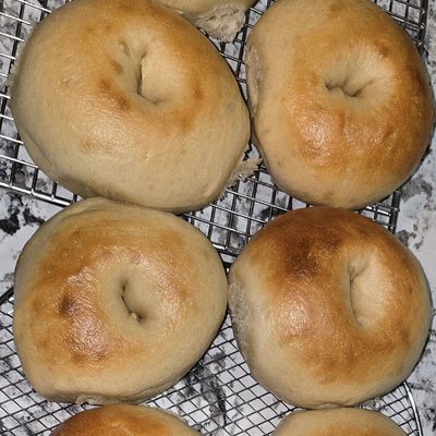 Sourdough Bagels - Plain
