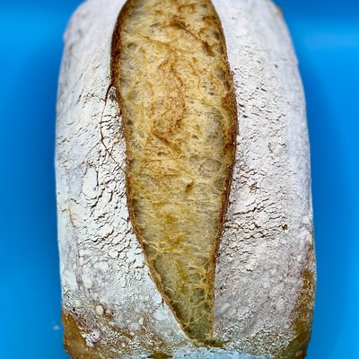 Plain Sourdough Loaf