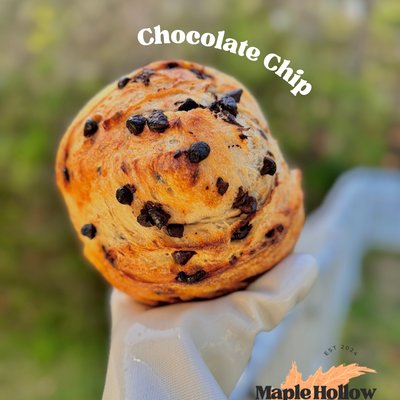 Chocolate Chip Sourdough Loaf