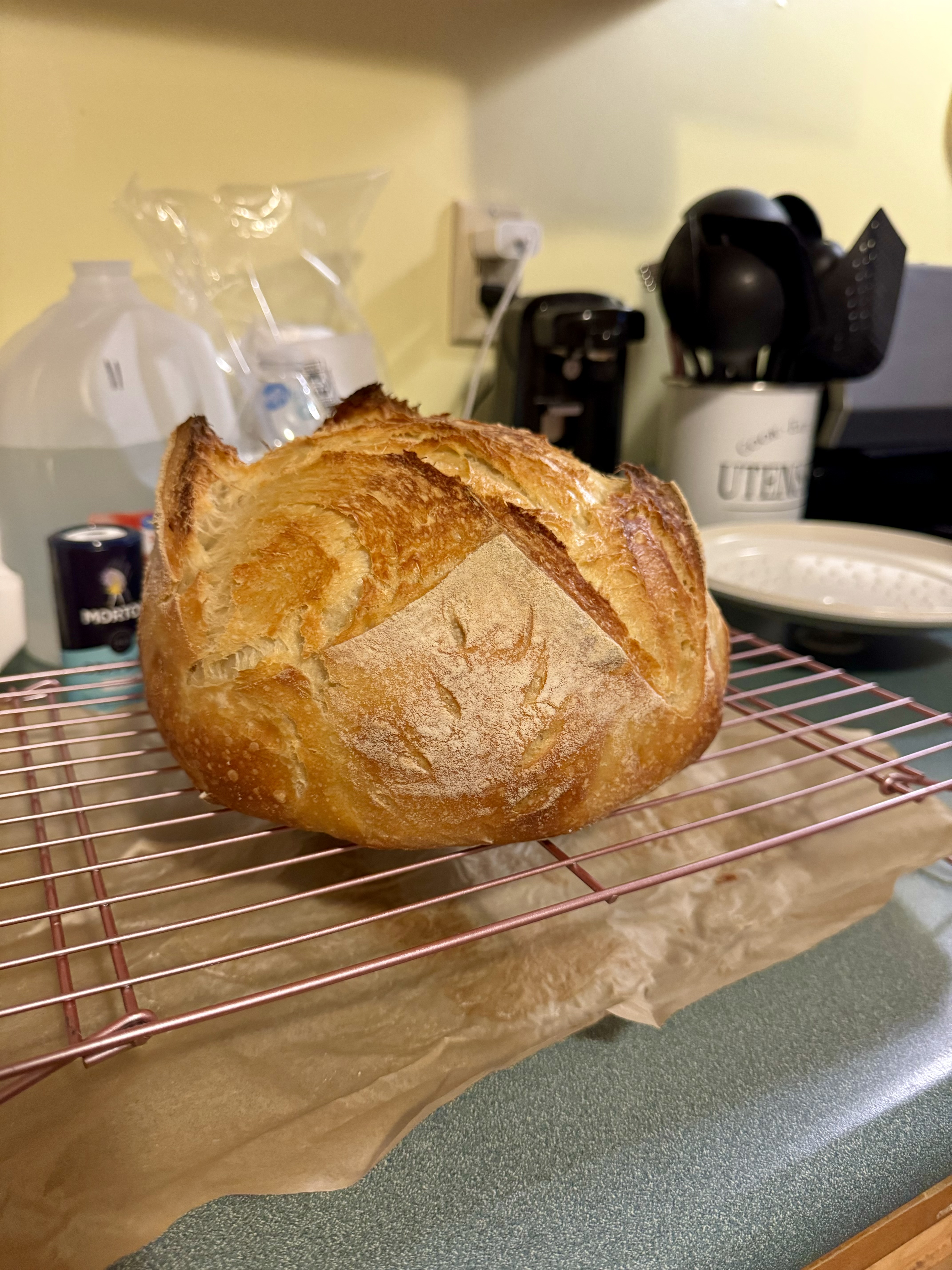 Classic Boule