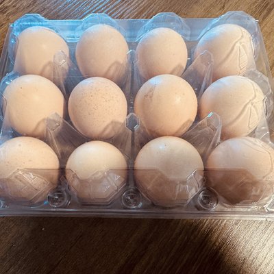 Fresh Eggs
