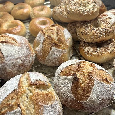 Classic White - Small Boule