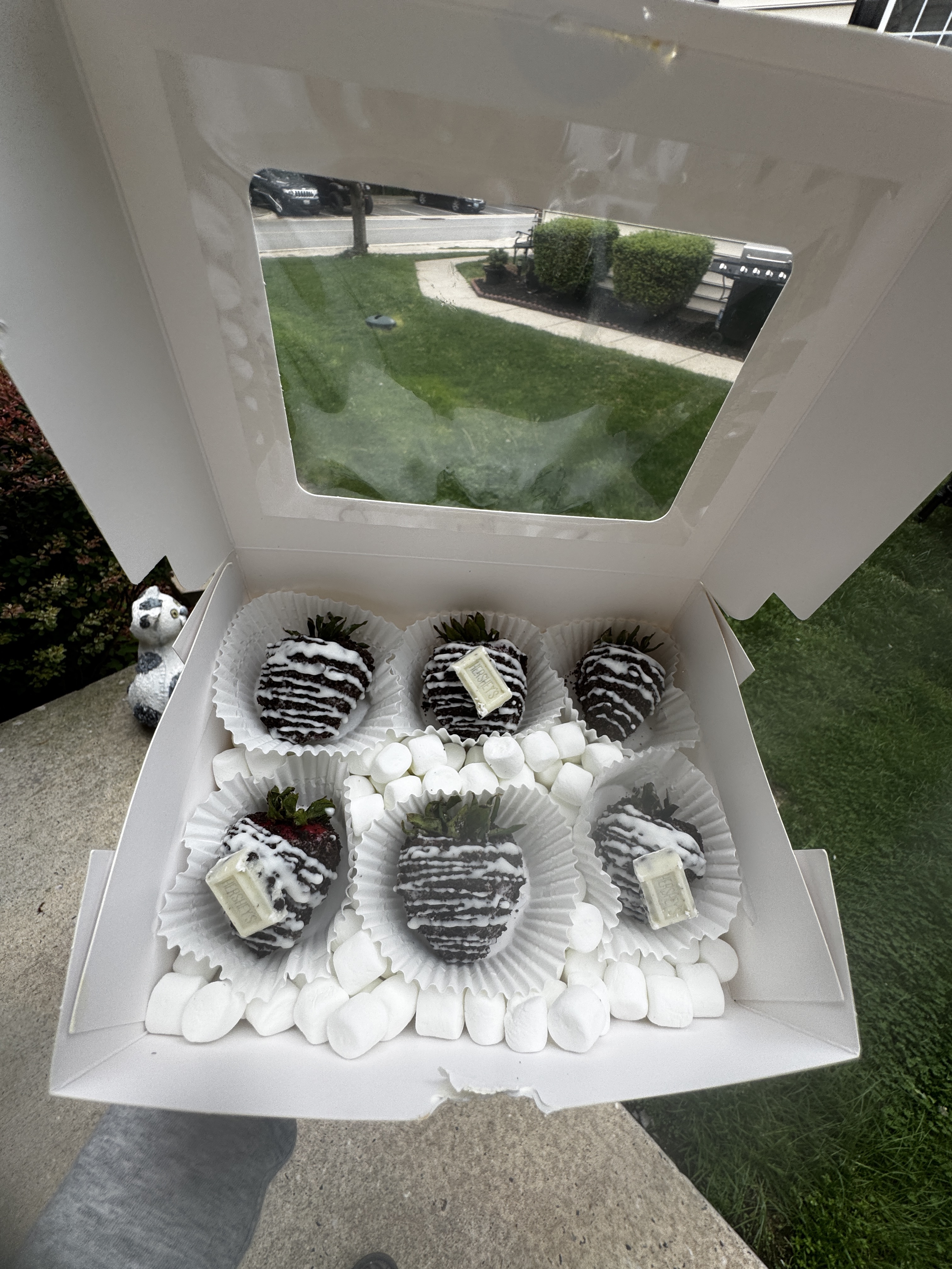 chocolate covered berries small