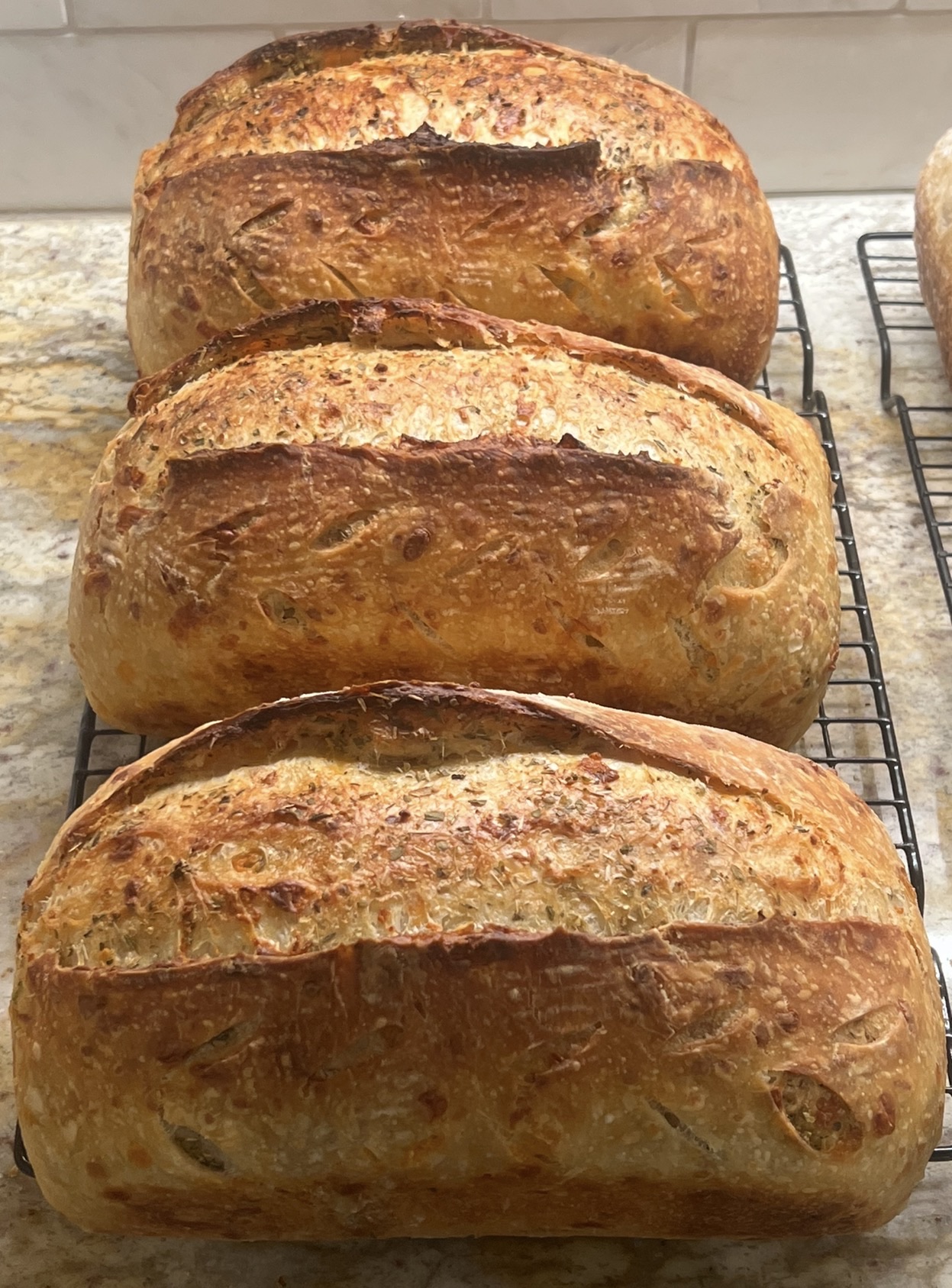 Garlic Herb & Cheddar Sourdough