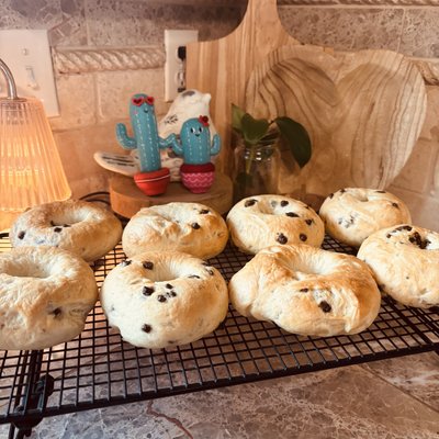 Bagels Set Of 6
