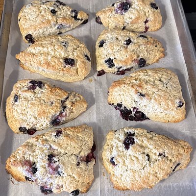 Blueberry Scones- Individual 