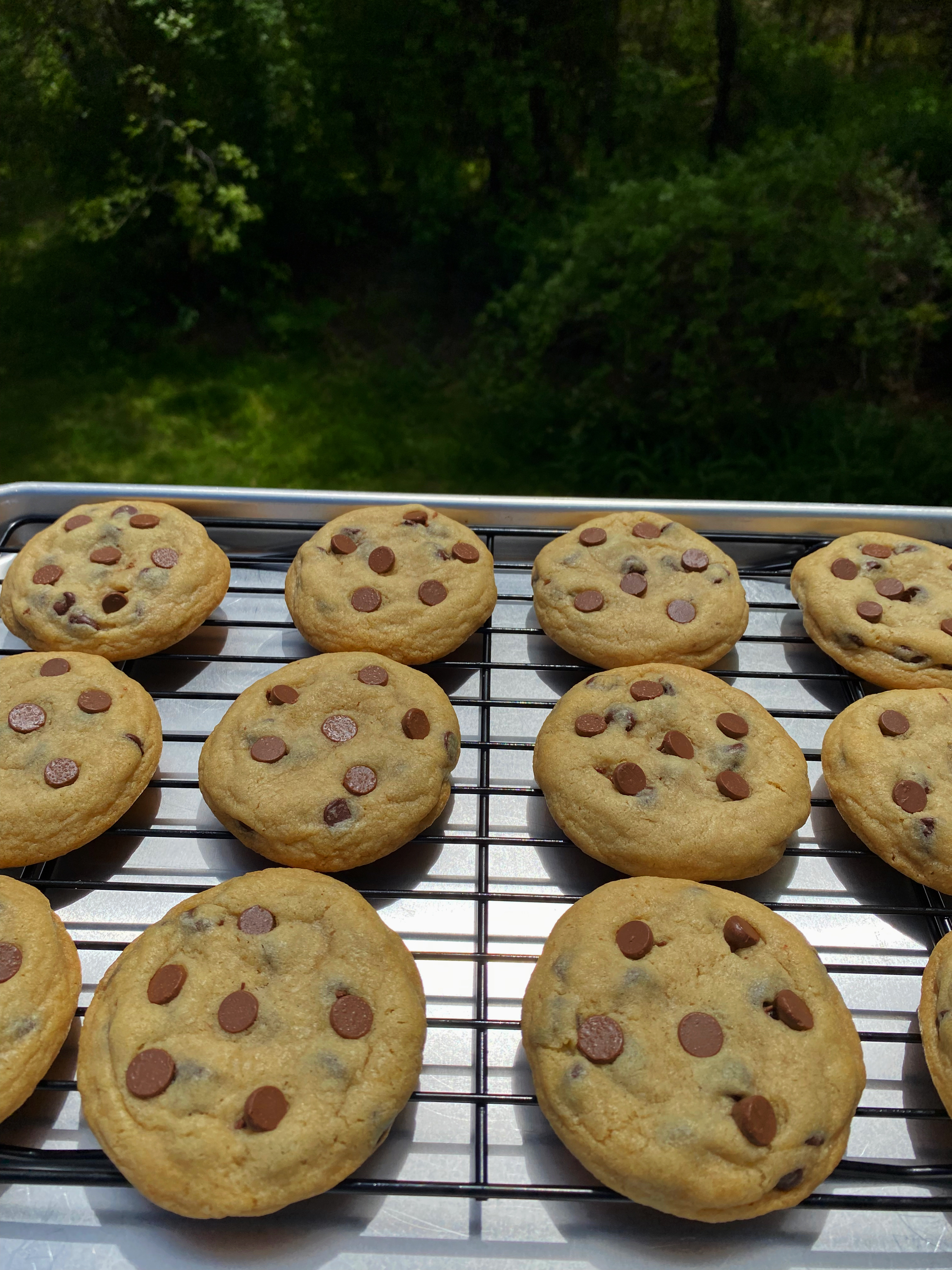 Box of Chocolate Chip Cookies