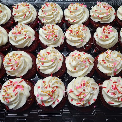 24ct Cupcakes