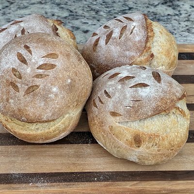 Sourdough Bread/Soup Bowls 4-Mini Plain 