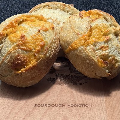 Sourdough Mini’s  1/2  Dozen Inclusions 