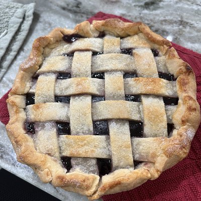 BlackBerry Cobbler 8 In