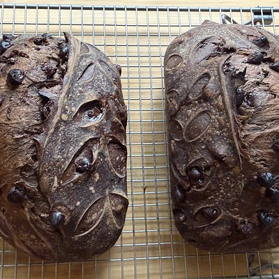 Sourdough Mini Loaves (2)