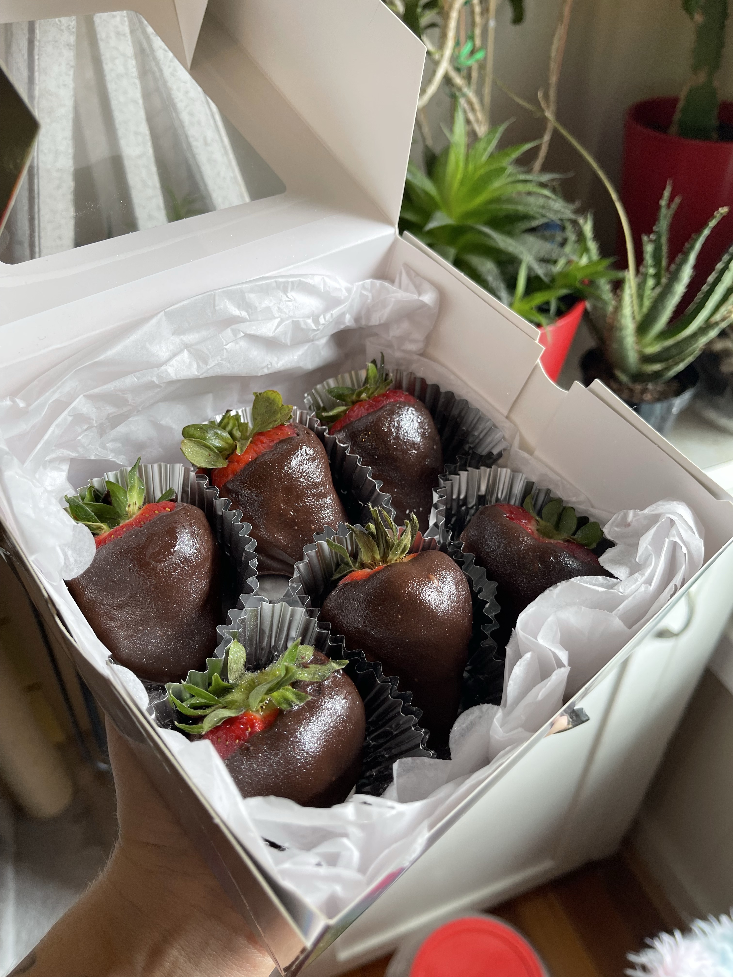 6 Piece Choclate Covered Stawberries 