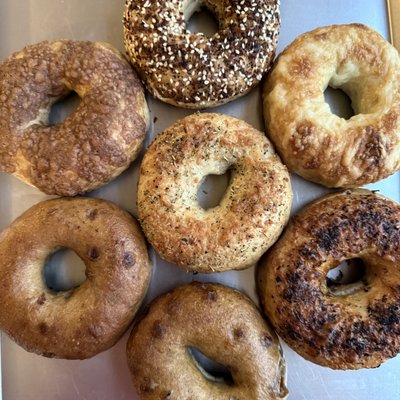 6 Sourdough Bagels