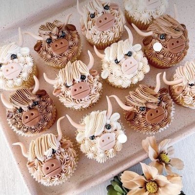 6 Cupcakes - Highland Cows