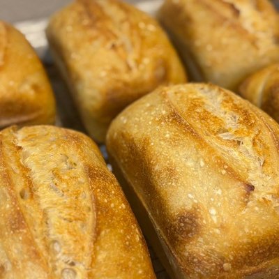 Sourdough Bread