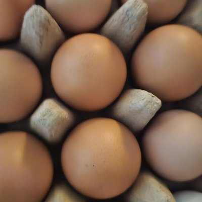 Farm Fresh Eggs