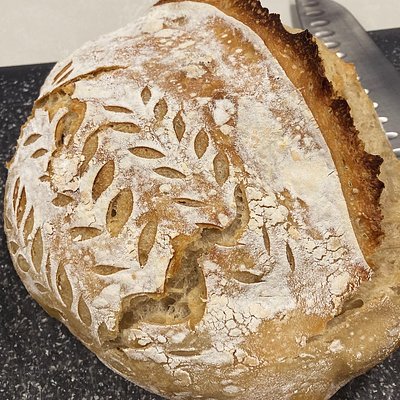 Regular Sourdough Loaf