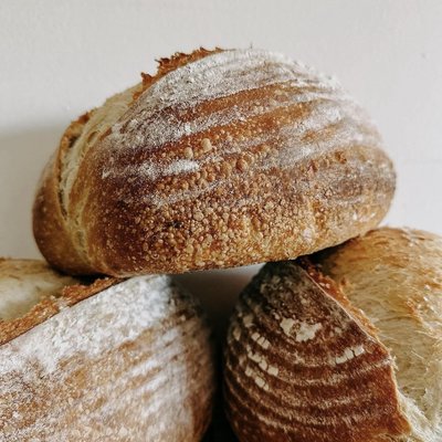Classic White Sourdough 
