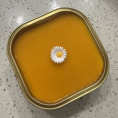 Mango Cheesecake - Small