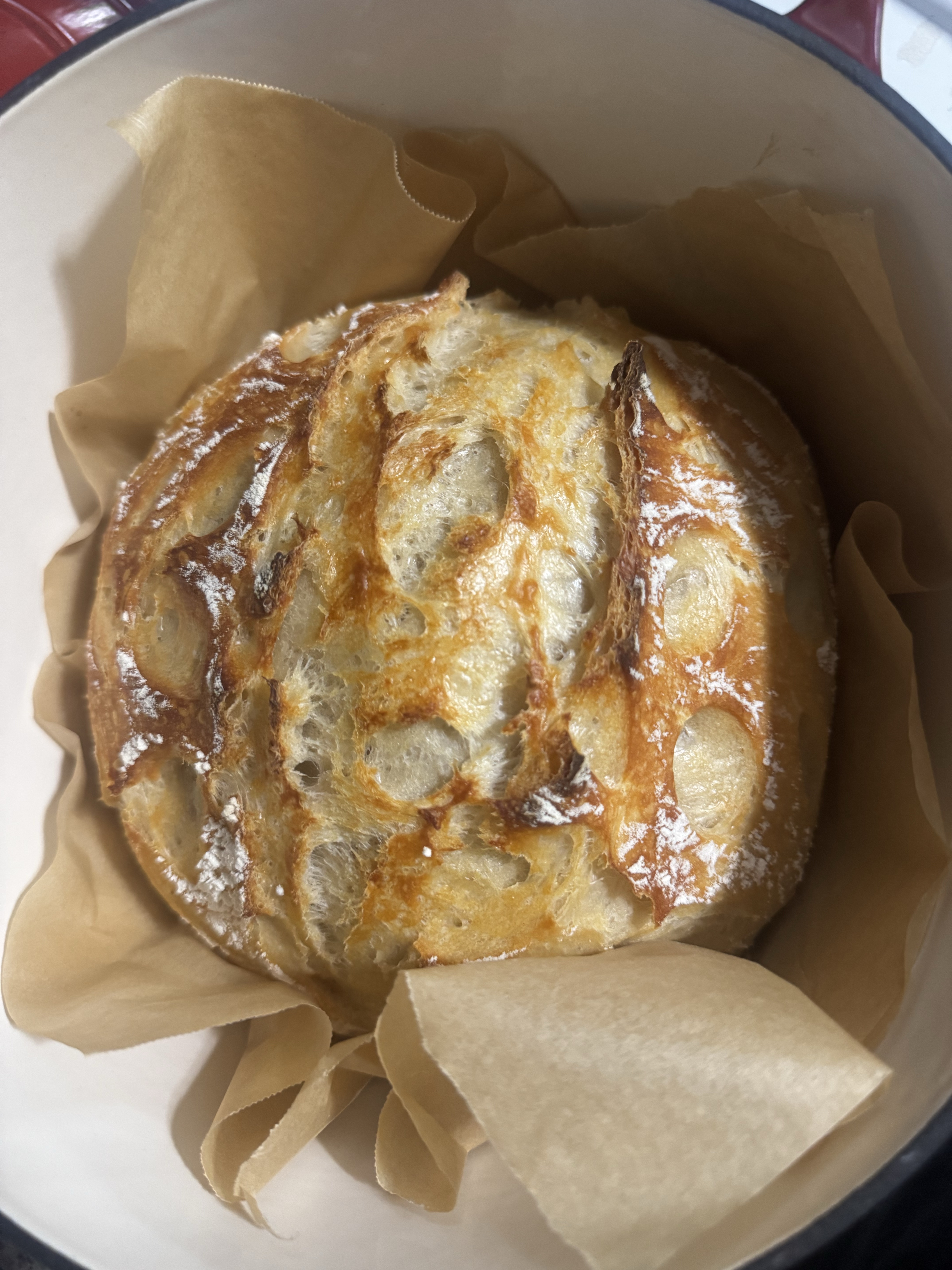 Plain Loafs ! 