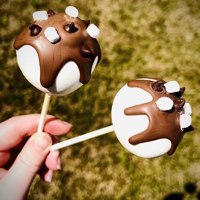 S’mores