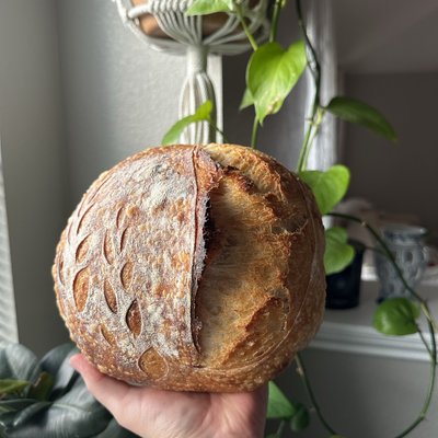 OG Sourdough 