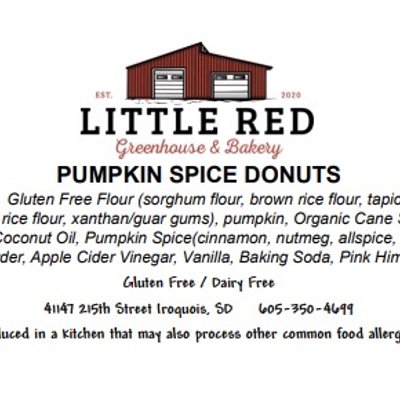 Pumpkin Spice Donut