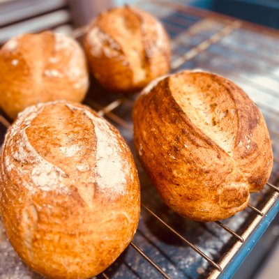 Sourdough Artisan Bread 