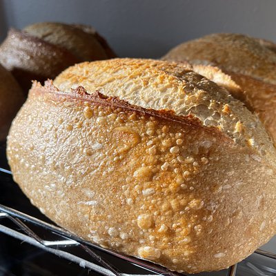 [Small] Original Sourdough 