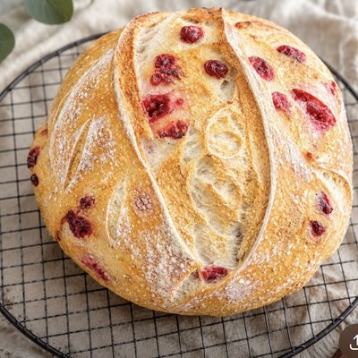 White Chocolate Raspberry Sourdough 