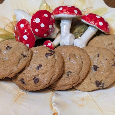 Sourdough Chocolate Chip Cookies 