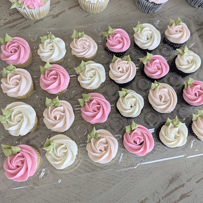 Mini Cupcakes 2 Dz 